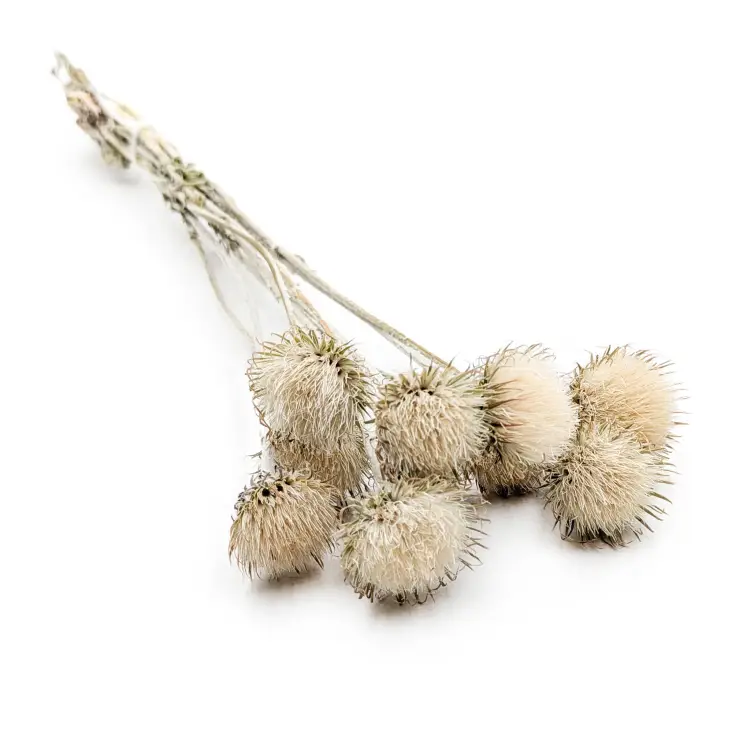 a2d965e5177dd59a41e2152dbf890784