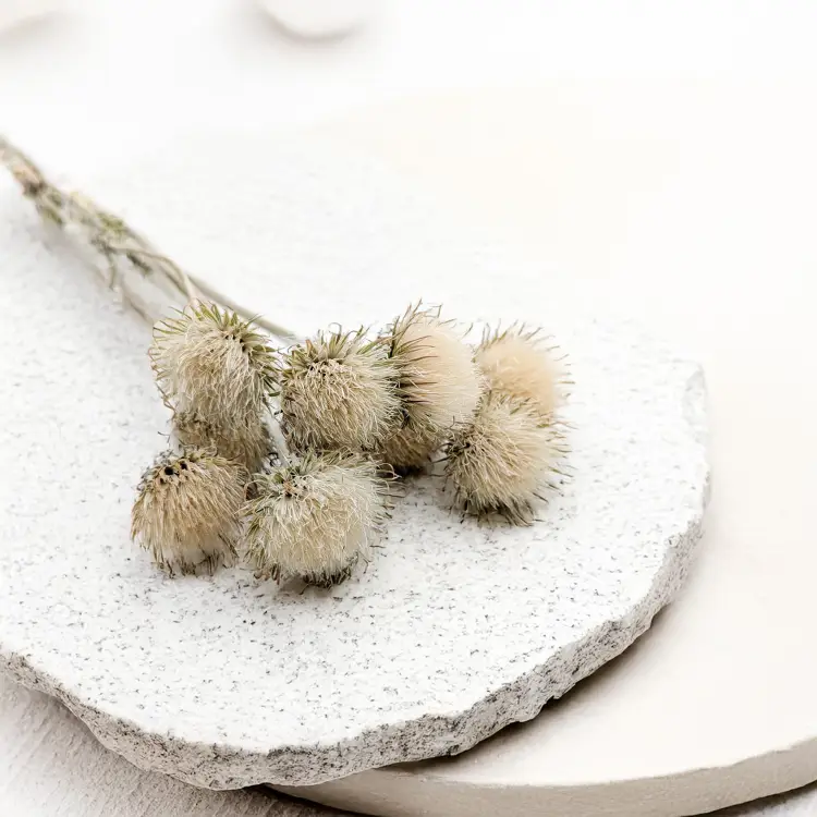 f24d1186a57f641ae3a3ed4a84738d2c