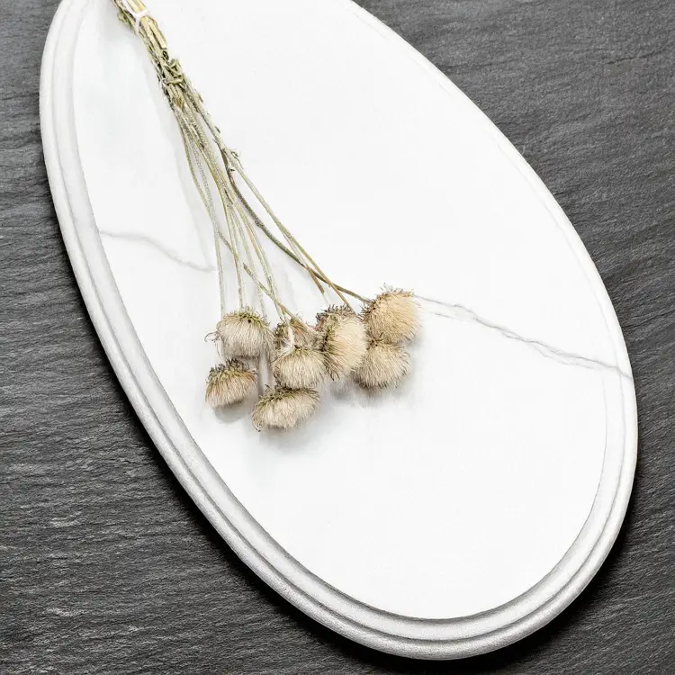 7b6daba2099ebc02860c0ca2baf13e12