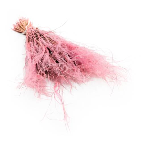 4eba72ec7c8ff77901e87262e8193c29