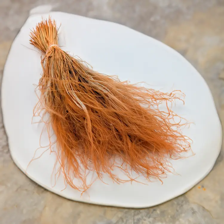 64a0837351031e070d95b38389e7f964