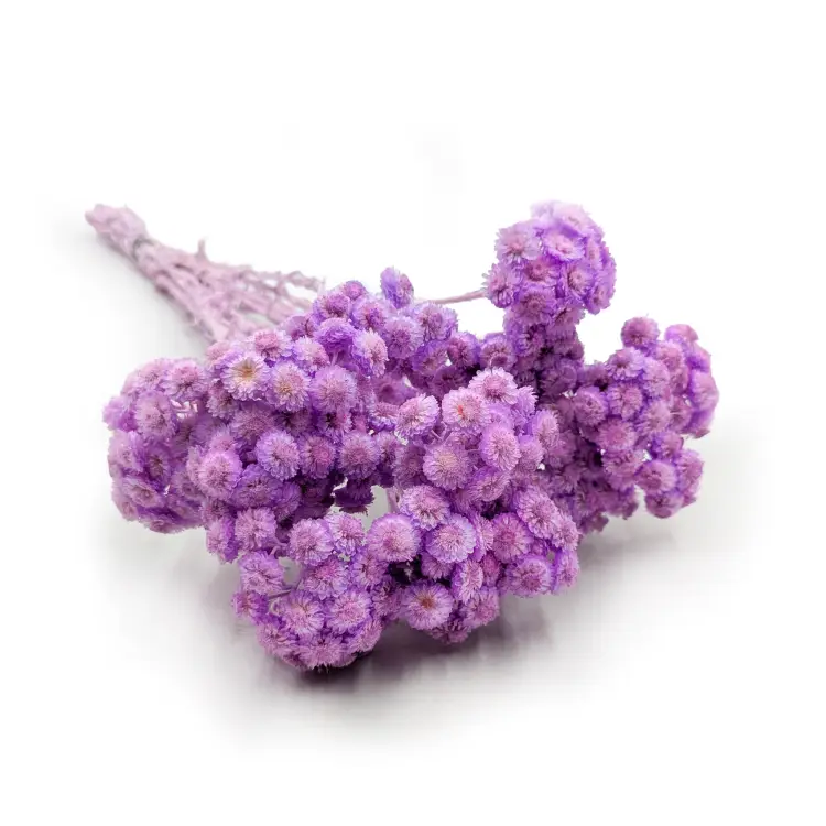 e9550a803cbdbb5231faacaf194e2709