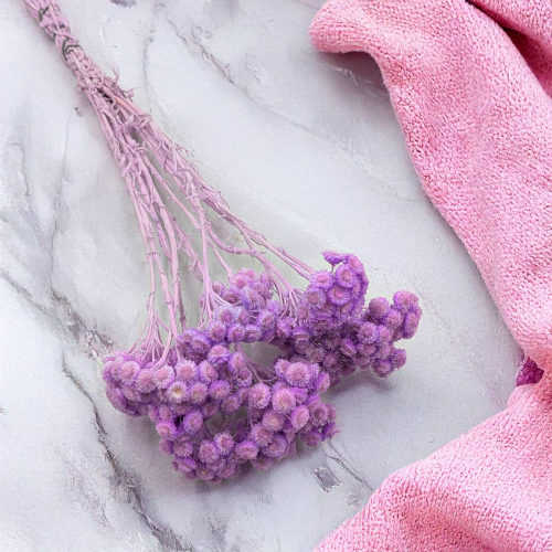 113c728db004bb4c9c784a1073647e42