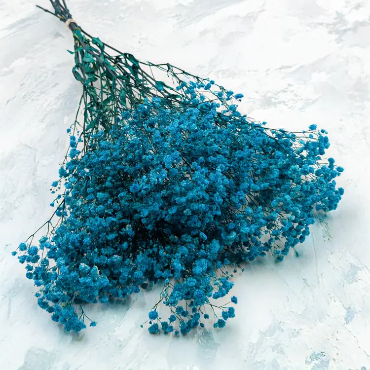 1983e480b4ed7ebefd4d9e940e27176e