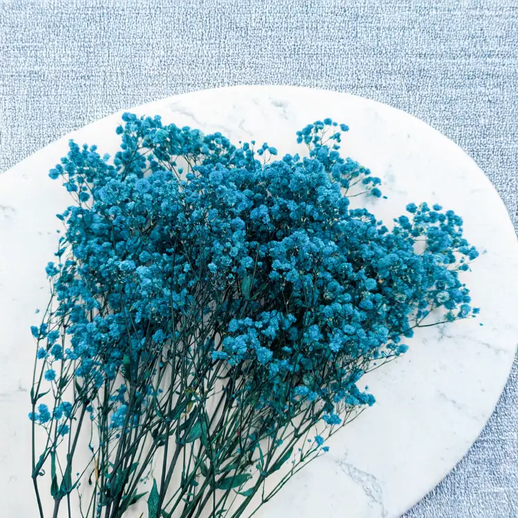 78a4e9fcbaed7048639b153aff05a107