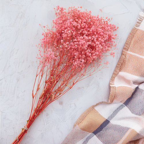 39316c90aec3e826ccb1f6b7c9a11220