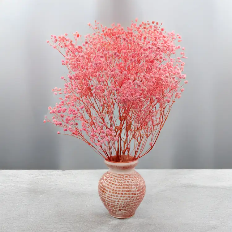 d58f0cad69b4abed96dd281840c43d90