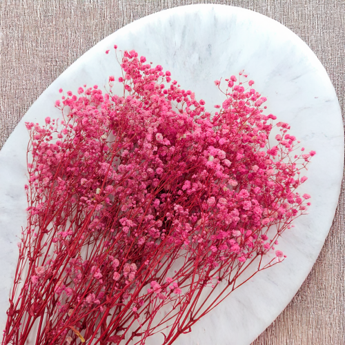 e4febbda35665ab71a7af6ee1bec6f14