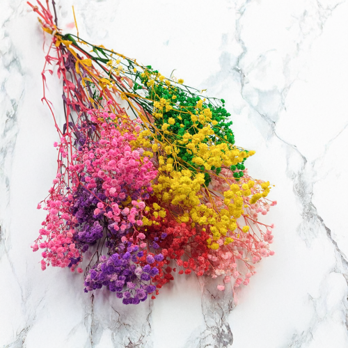 bc752433a8925258617c5c5ef7c31fe4