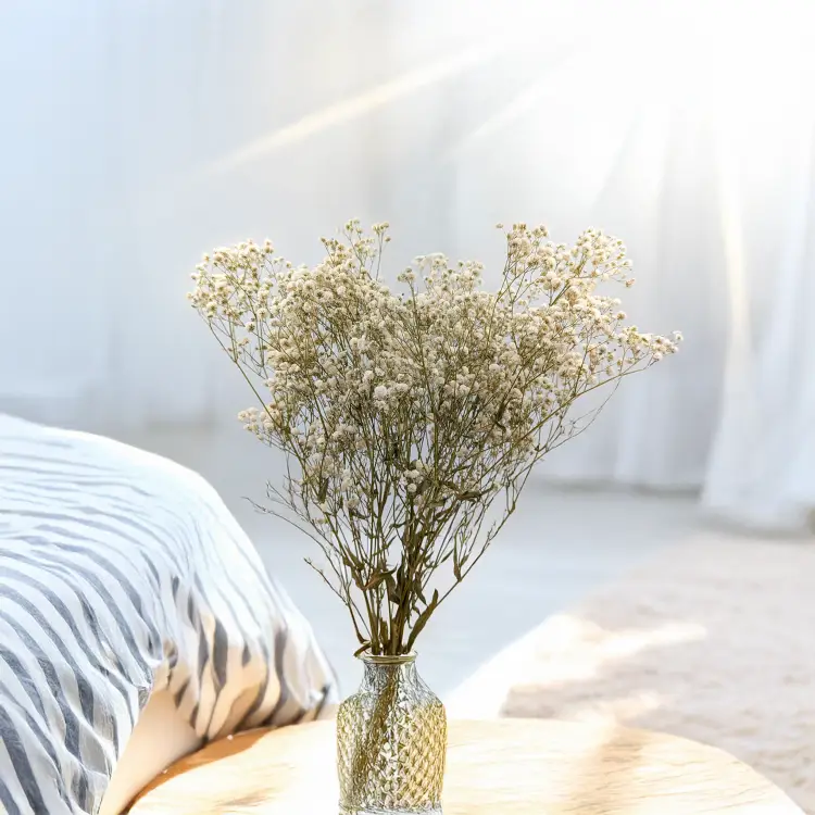 42282a8901a0275e55d3fd610409fe59