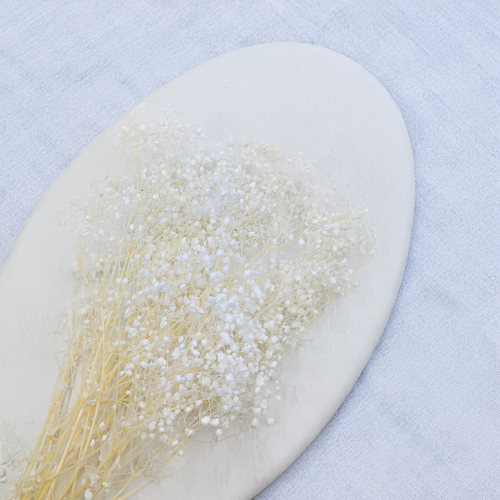 7bca95ba5d37e2ee56acfd53af8e8173