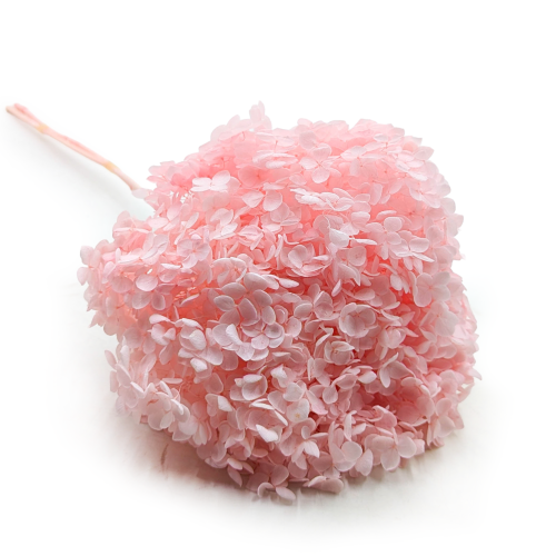 b698aa14075267a642c53f932e87aebf