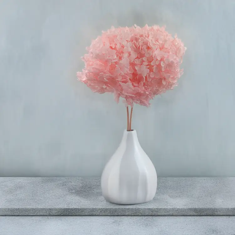 a7f1ce15af2576a7562f9f280bc6bdbd