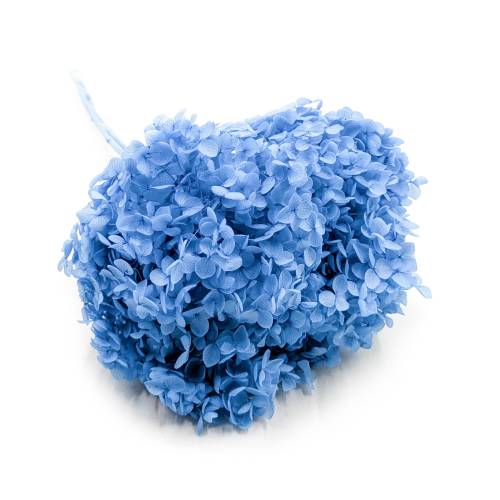 8d1eb1ade1f17e8b12c465cd5619b8cb