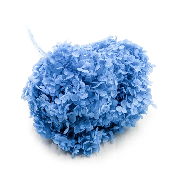 8d1eb1ade1f17e8b12c465cd5619b8cb