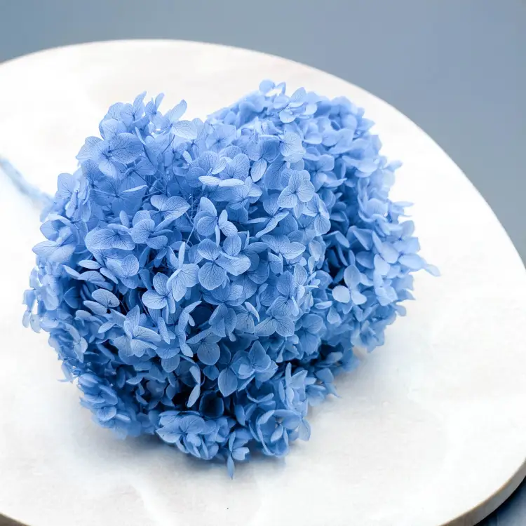 5f7a7ae39c7689932aa78e3c07a45138