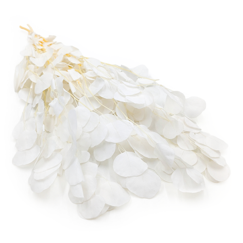 53c2eec91b6b92ff39cbae085d4dbe99