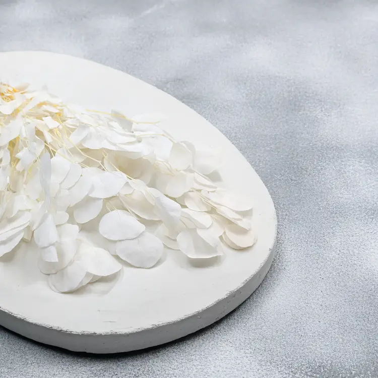 5d3beb12598ec410e3c86fe90258347f