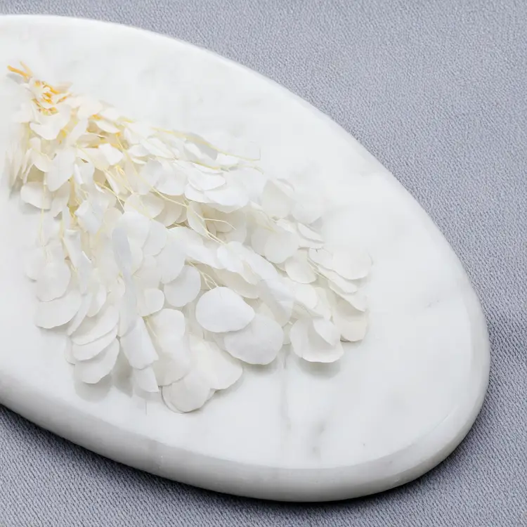 2de6fb8a2c443eb5b128d3ac93ca6a3c