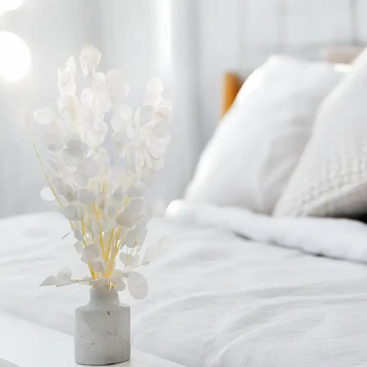 b3fac495de07f5c01dab6175d46b6ca4