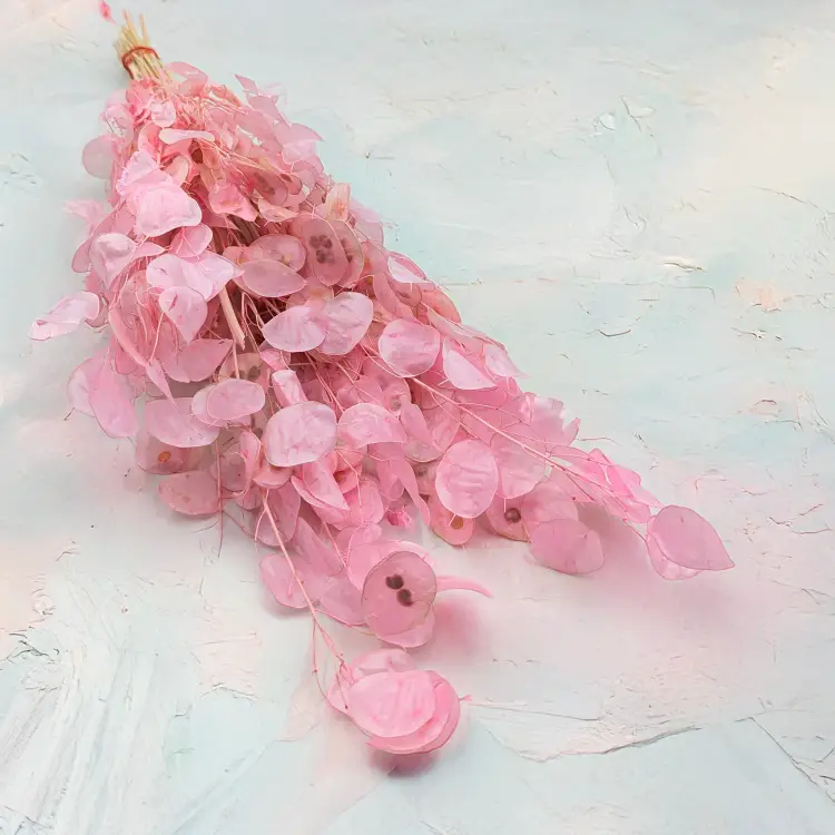 d6b3a6fe5c8adfe28ac6c7c5869a2e87