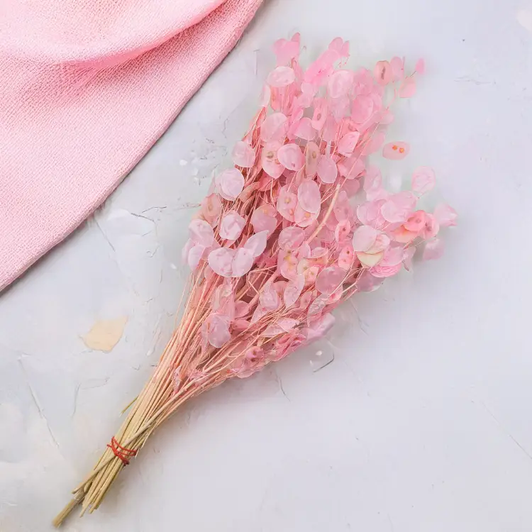 3369a61115108bb8e9b9251af447be4e