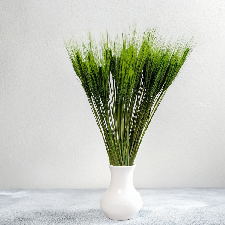 acfadd1e204c0edf1e5ccc6bc966fb82