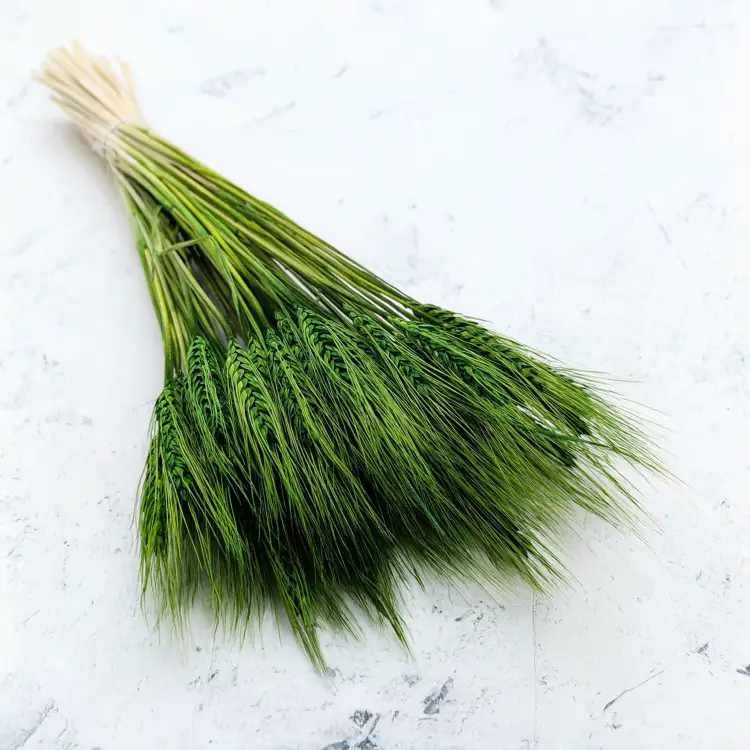 54c6b8197e4e84e6378e369edf0ed70c