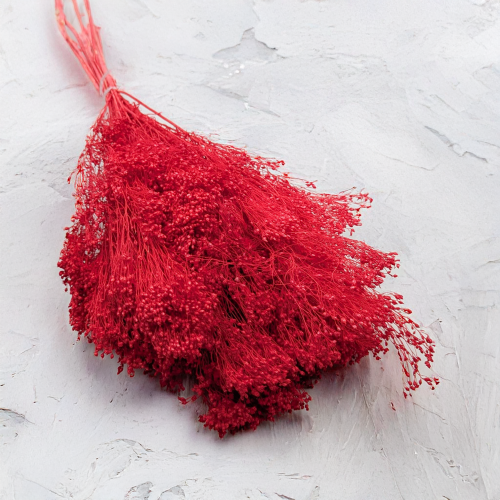 3948a35acfea4590de1531a5bf145562