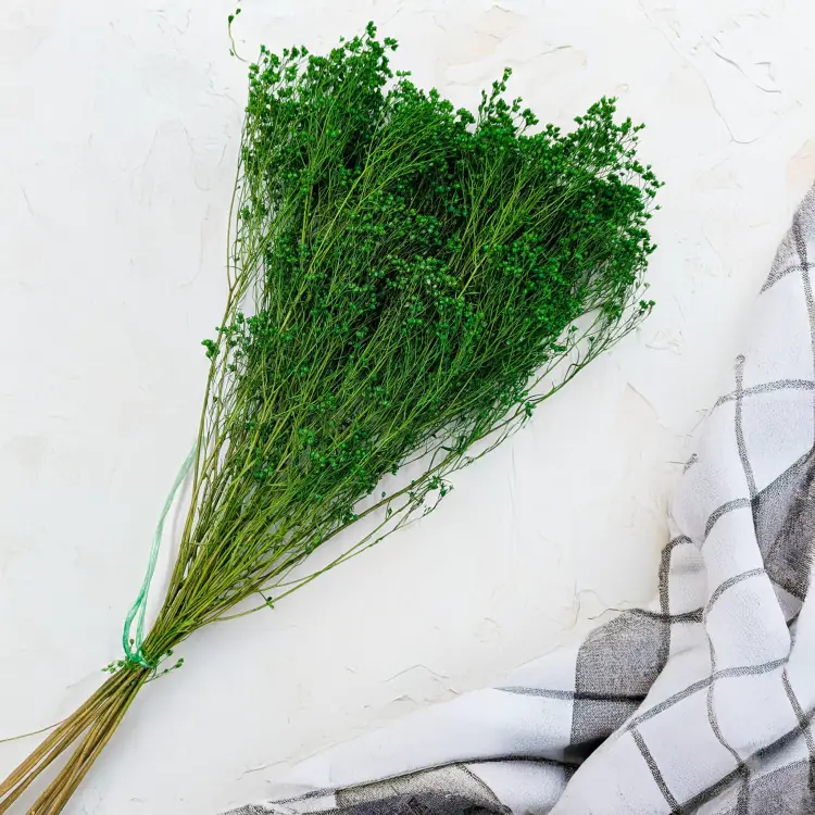 ef8f176efd8a3032088a224b77ab0855