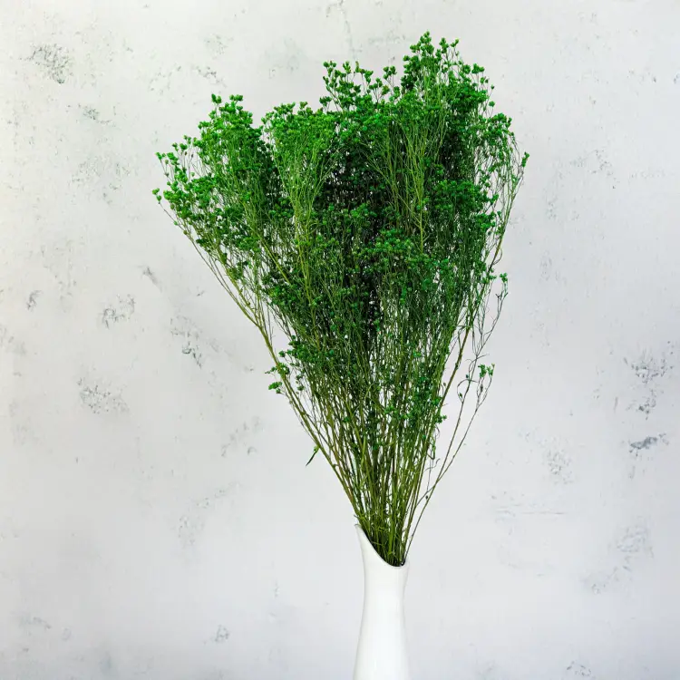 d27082f9522b0b2ad65325ca5aeef913