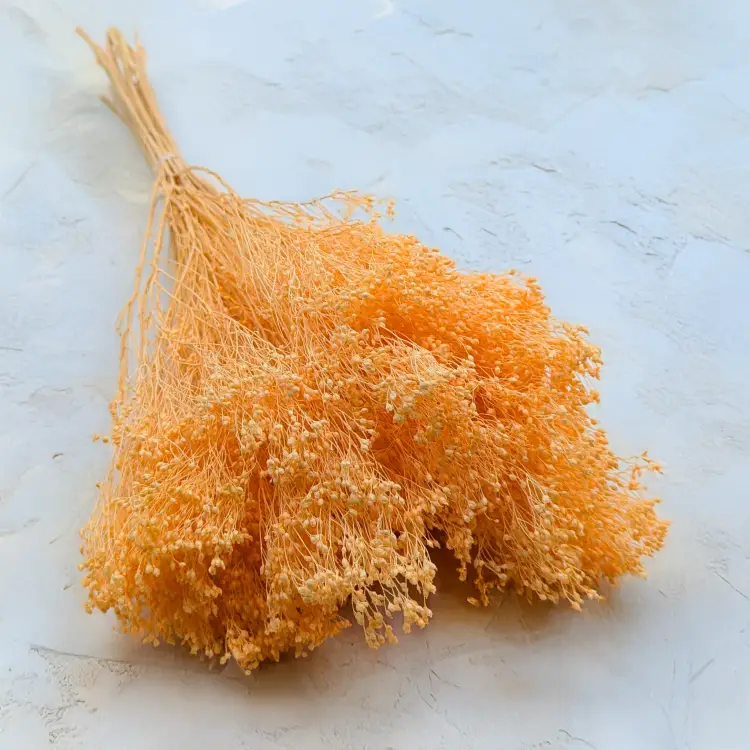 daecb49698f307684aa3fdf4a483ed9e