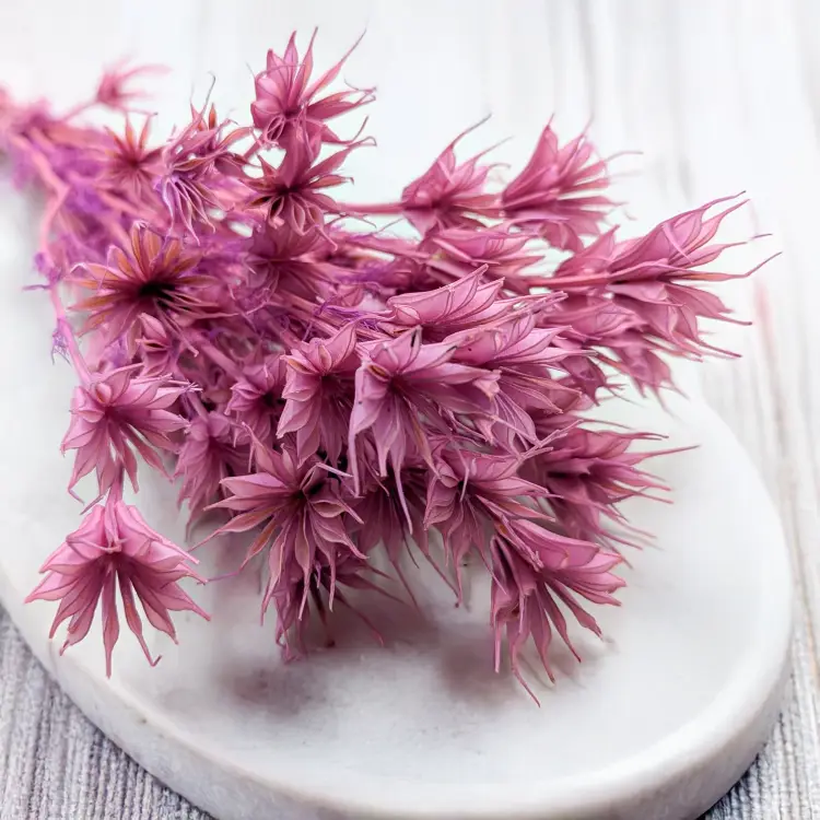 f919b9e1b020ad3c03c6b7a298bdcce7