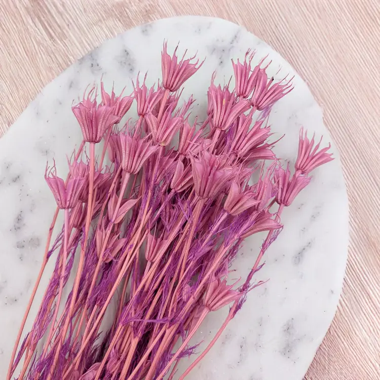 0e964fa4ea3d2eec366f345aef72dfbc