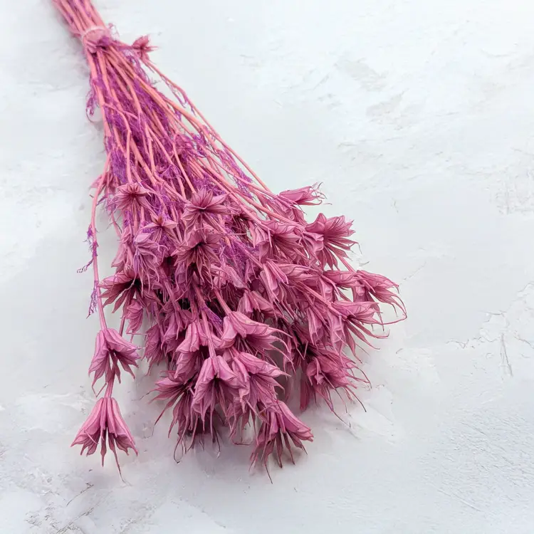 daa62fe54aaa5e2800d8fcbd21275568