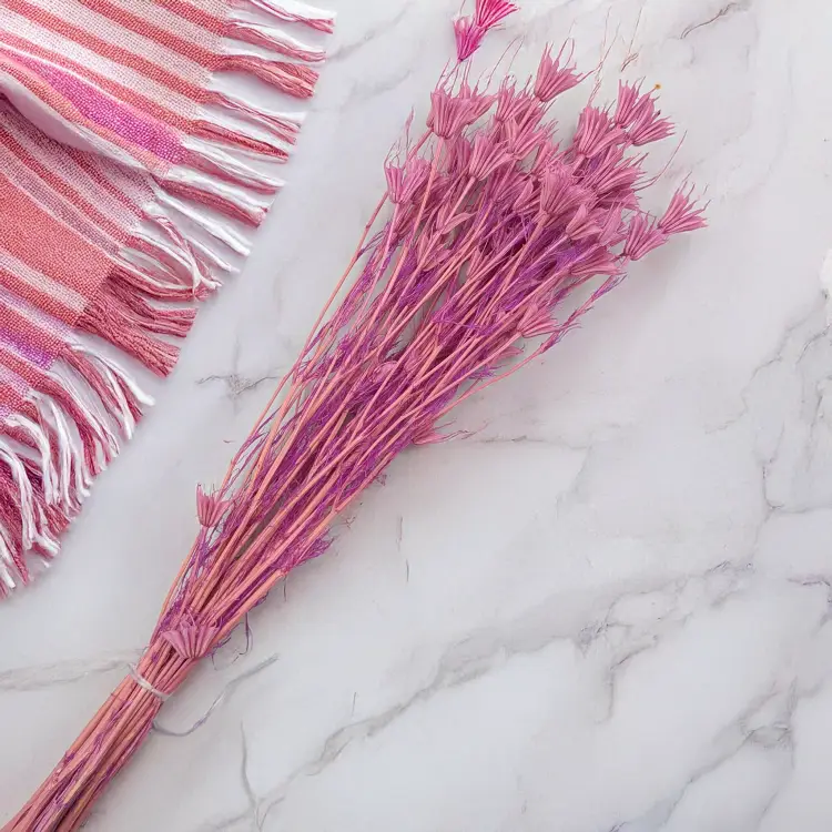 39d6f8d77641d05f6e3a25fcddfd4884