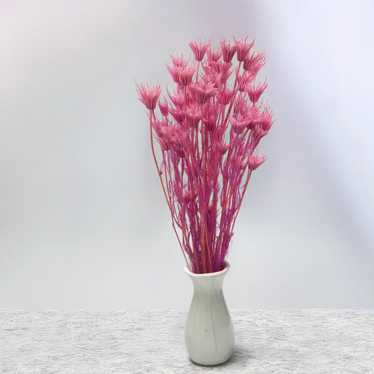 302df23a43ed2fa9ef5822c2ed419626