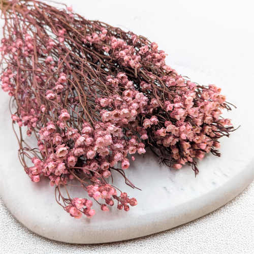 0aabdc75837880ae2ef69c81d038bbb4