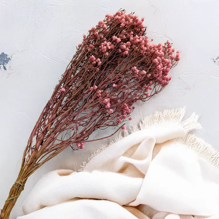 b0dca37b1a72f7567f560b9bacee45f6