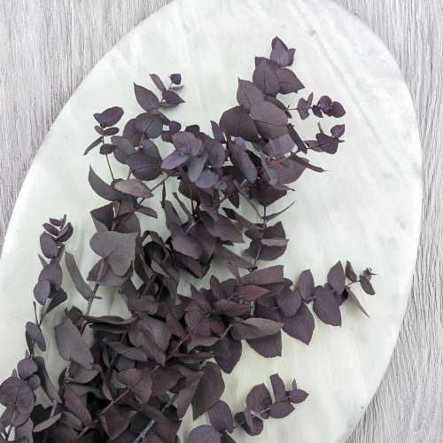 66262f45e009048706ca924ccffaf55f