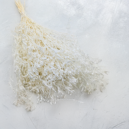 cd31bf6ca3ae740a998dfd8ec5844a15