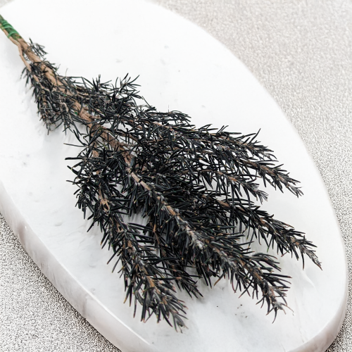 62cd892e6949c565c1cf788b4d6d6ace