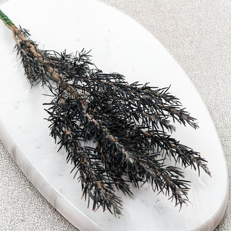 62cd892e6949c565c1cf788b4d6d6ace