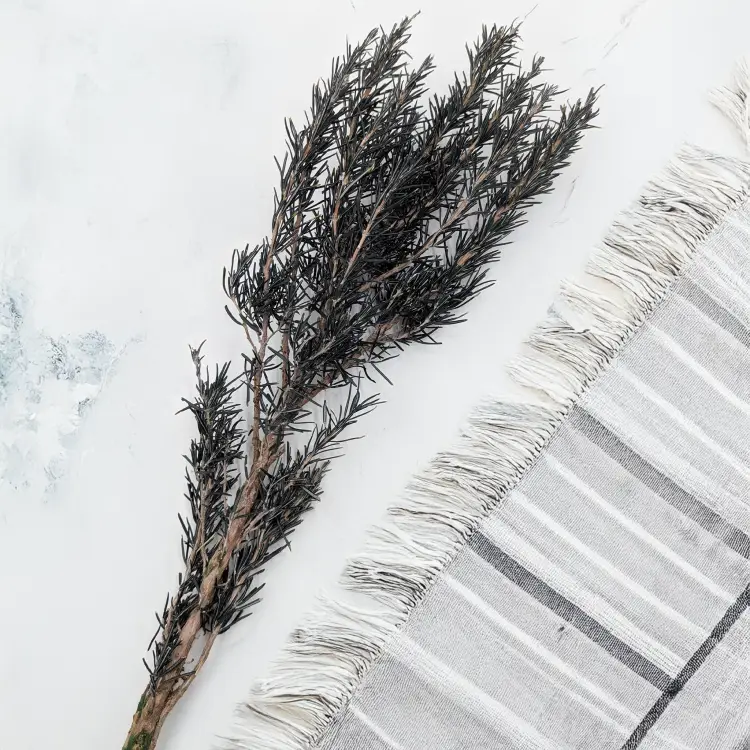 d10f4233b828dd5e0039927fc6e9da24