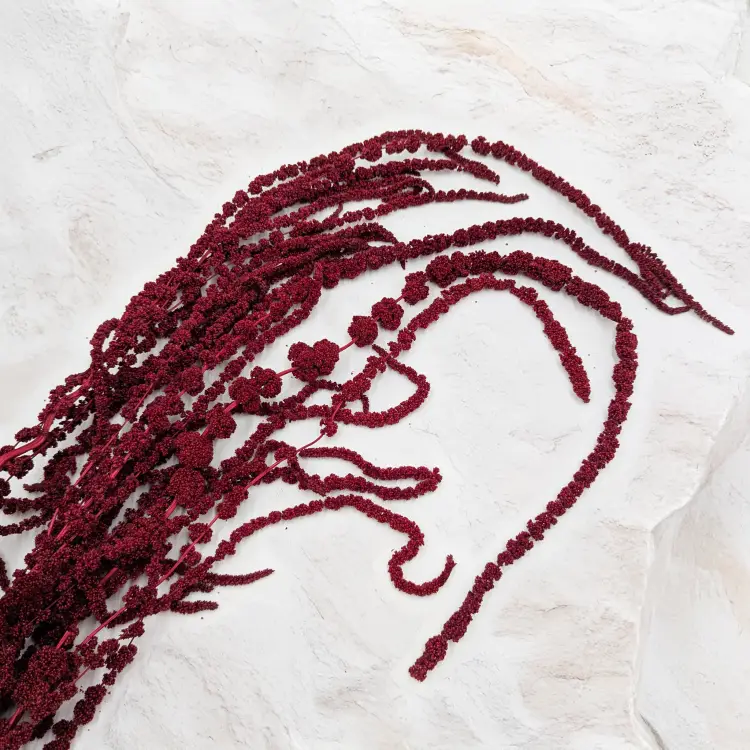 e93cab2996ced1b717226ff8d6a32100