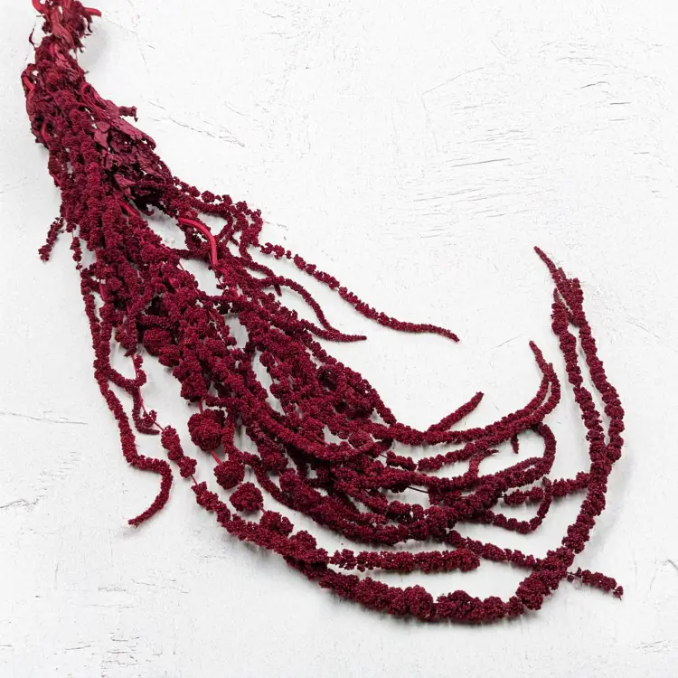 2e4b6f43b2d6740265a2cf940ae674b1