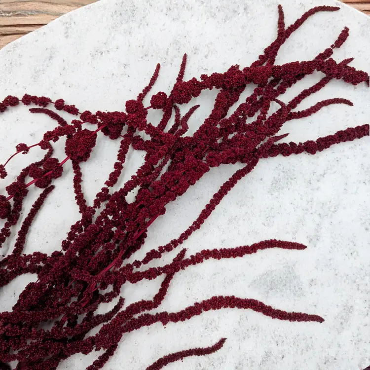 aee6eabde91a983a7d48677cd89efe85