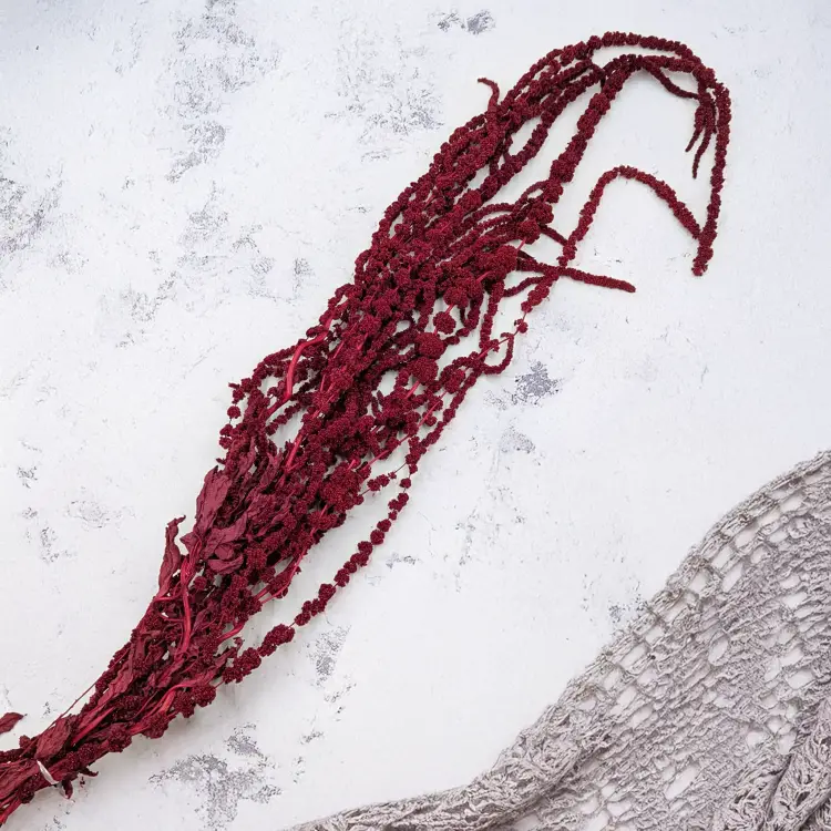 f9fb1858d2590329b348ff38d787634e