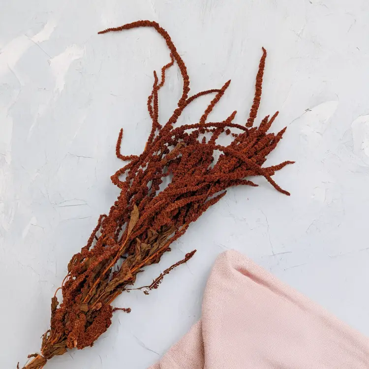 0511e63e70c0ee9671027168f80b2409