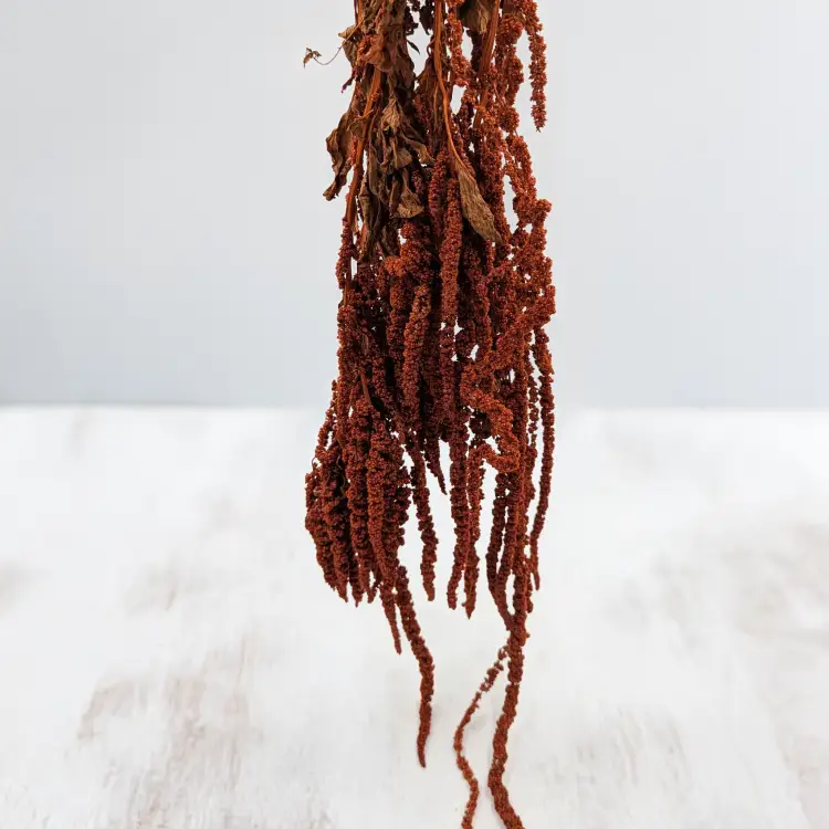 b515e3977bb2acf421061349a6fa5640